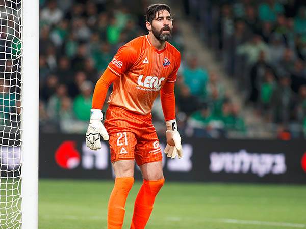 תמיד יש את העונה הבאה (אלן שיבר)