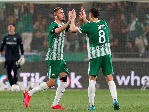 הירוקים השוו כשנגיחה של אצילי פגעה באואמו בדרך לרשת (אלן שיבר)