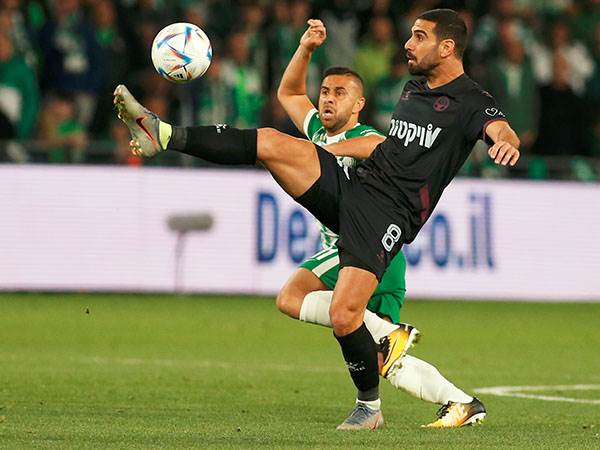 משמעותי (אלן שיבר)