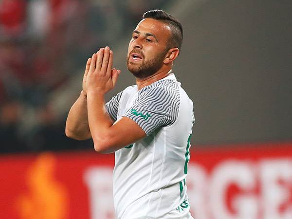 מנסים להכשירו לאשדוד. סבע (אלן שיבר)