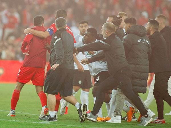 מביש (אלן שיבר)