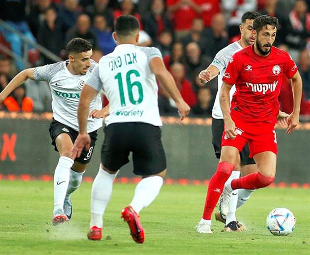 חמור (אלן שיבר)