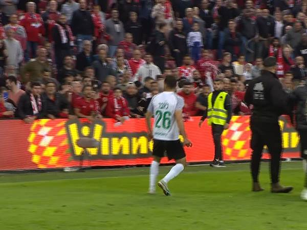 "איך הוא לדין וספורי לא?"