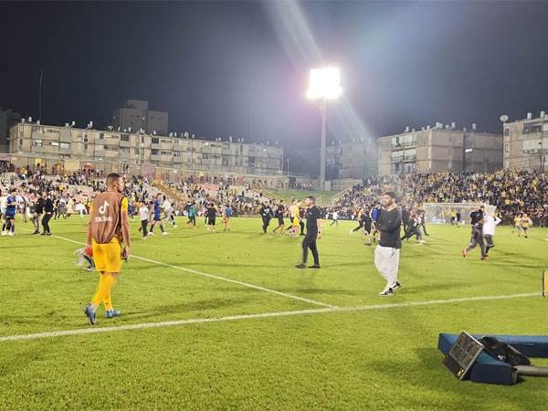 אוהדים על הדשא