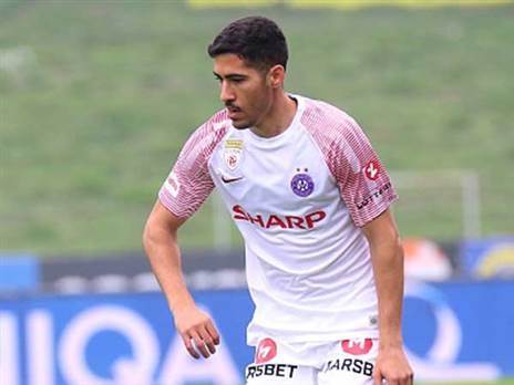 מעמדו באוסטריה וינה לא ברור כרגע (getty)