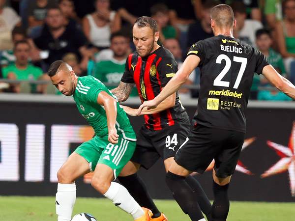 בדרך למפרץ (אלן שיבר)