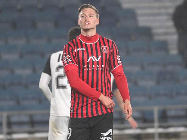 אכזבה בבירה (ברני ארדוב)