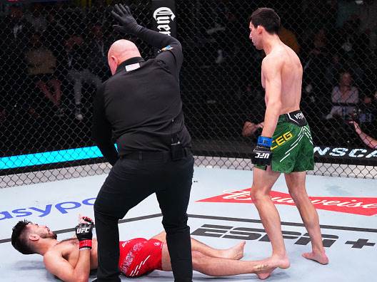 נוקאאוט ענק. שנל וארסג (GETTY)