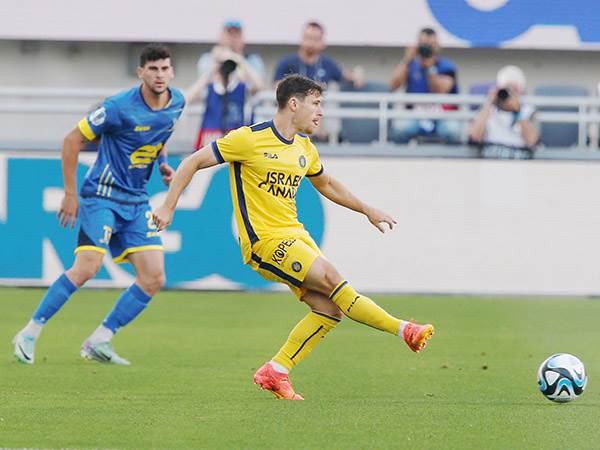 הצהובים שלטו (אלן שיבר)