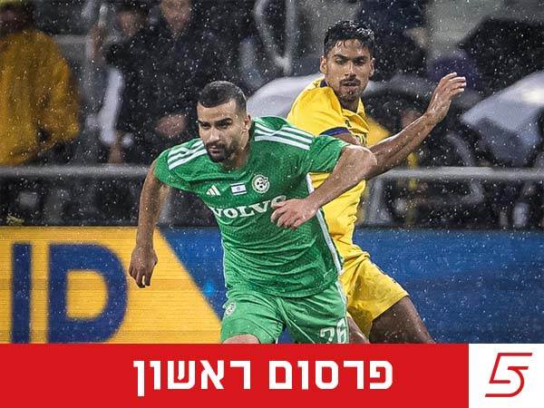 (צילום: אלן שיבר)