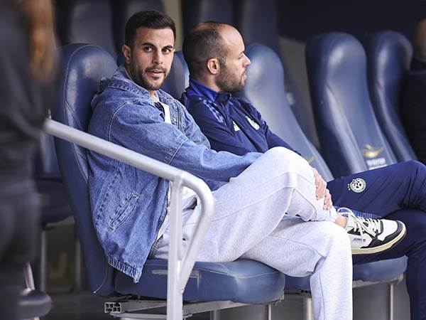 דין דוד. יחזור לסגל לנתיה? (מאור אלקסלסי)