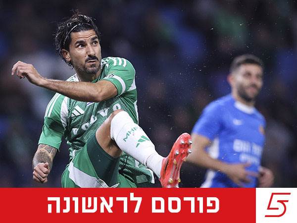 (מאור אלקסלסי)