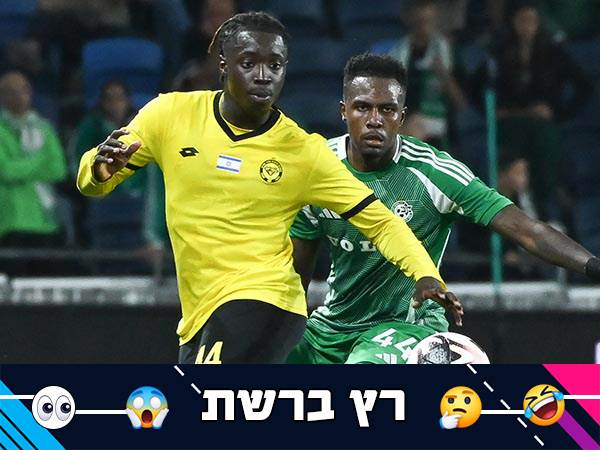 (ברני ארדוב)