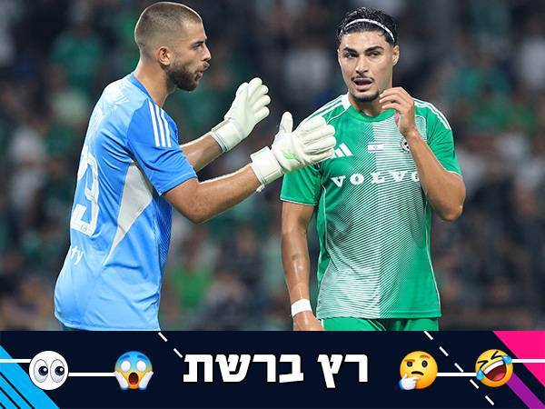 (צילום: אלן שיבר)