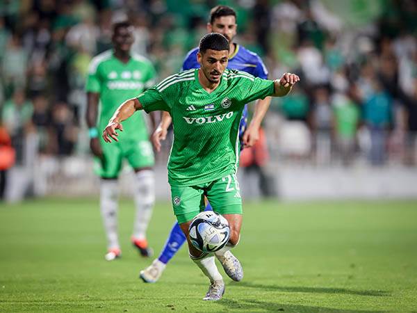 (מאור אלקסלסי)