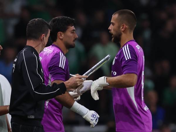 (מאור אלקסלסי)