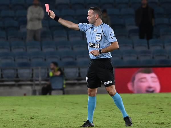 (ברני ארדוב)