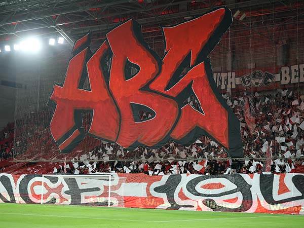 (צילום: אלן שיבר)