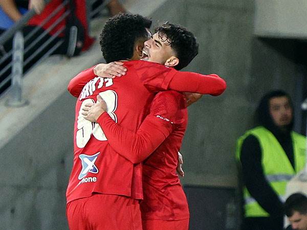 אלקוקין כבש ראשון (אלן שיבר)