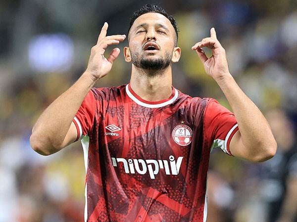 (צילום: אלן שיבר)