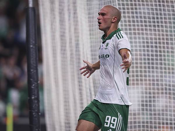 (מאור אלקסלסי)