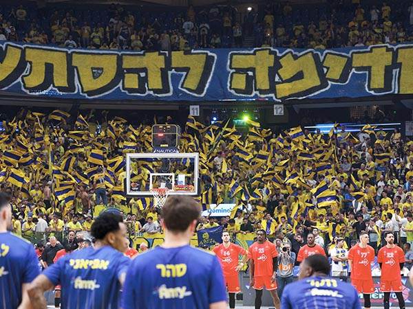 (צילום: אלן שיבר)