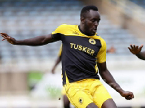 בקרוב בטדי? אסיקה