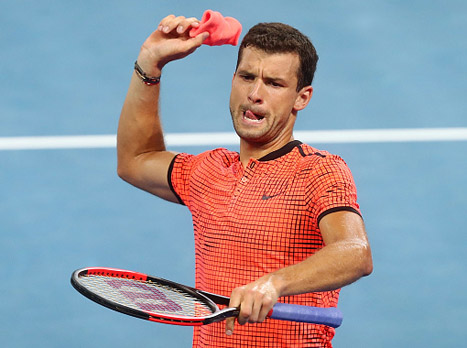 "עברתי שנה יצרית ורגשית". דמיטרוב (getty)