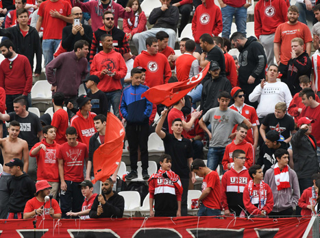 ימלאו את המושבה?