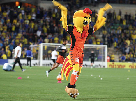 (צילום: אלן שיבר)