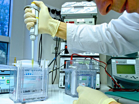 החומר שנמצא אצל לאלה לא זהה לשל עוואדי (Getty)