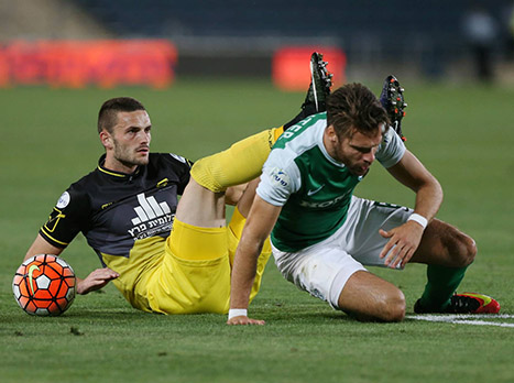 קגלמאכר. קינן מועדף על פניו (נמרוד גליקמן)
