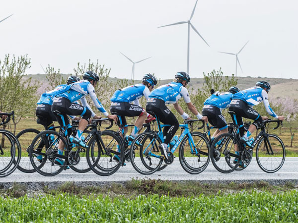 (נועה ארנון)