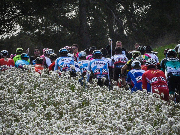 הג'ירו כבר באופק (נועה ארנון)