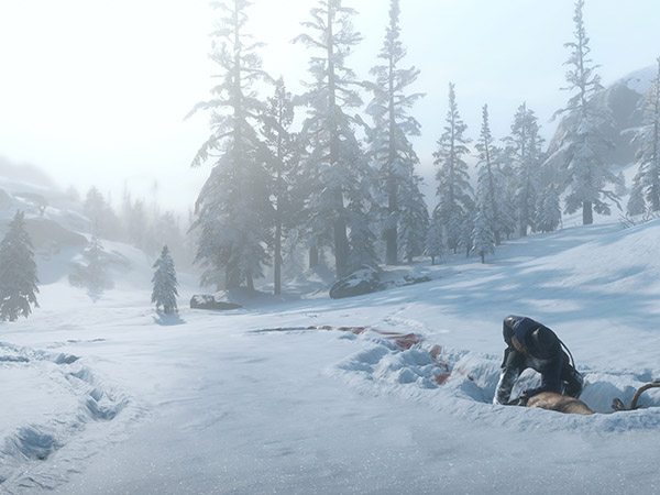 פיזיקה ריאליסטית לשלג בזמן אמת!!!