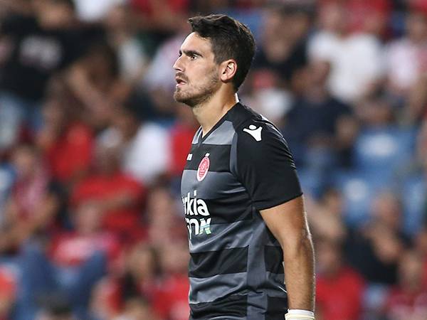 לבקוביץ'. ההדורים עם רפואה יושרו (אלן שיבר)