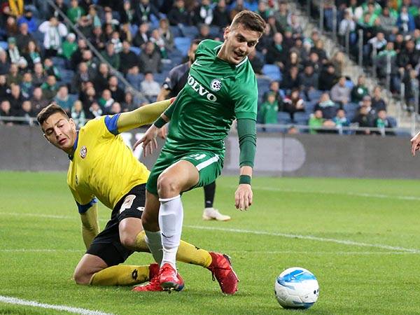 מחפש שער בכורה בירוק (צילום: יוסי שקל)