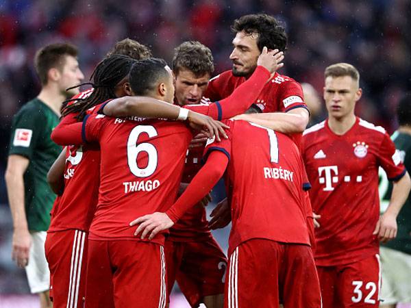 חזרה למקומה הטבעי (getty)