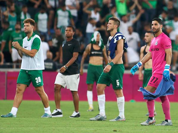 שלושה זרים ינחתו בקרוב (צילום: אלן שיבר)