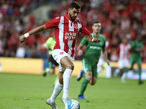 איך תסתיים הסאגה? עאבד (אלן שיבר)