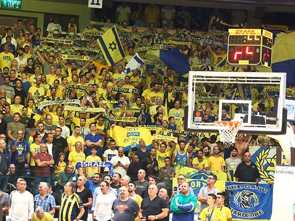 הקהל הצהוב צבע שוב את ההיכל (אלן שיבר)