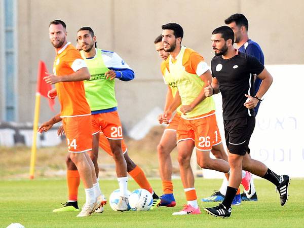 (ברני ארדוב)