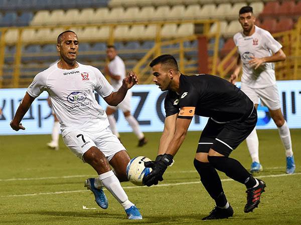 (ברני ארדוב)