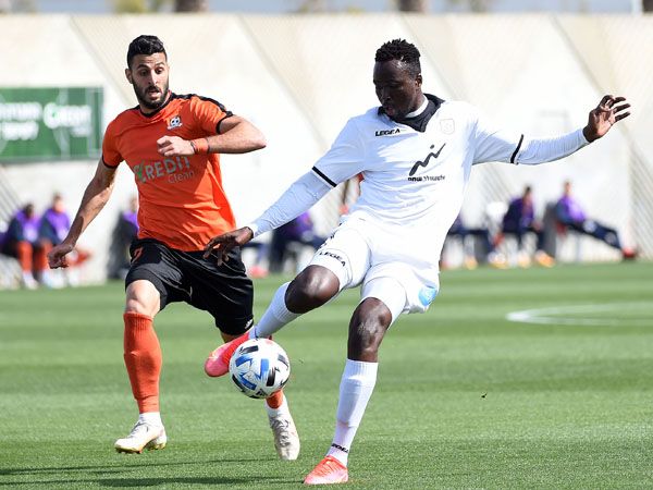 (ברני ארדוב)