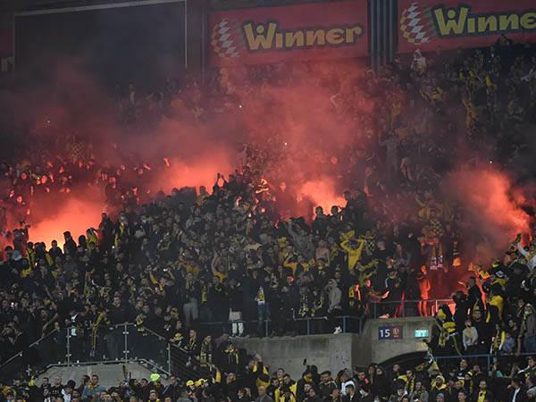 (ברני ארדוב)