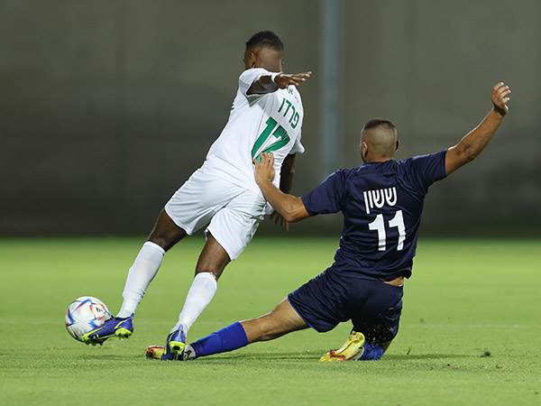 (צילום: לירון מולדובן)