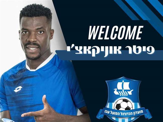 הרשתות של הפועל עכו