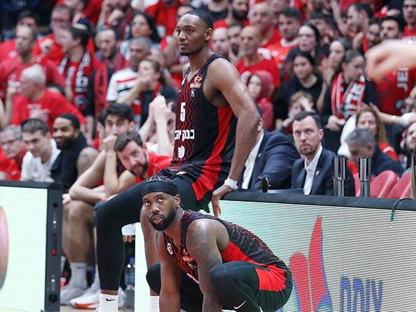 (צילום: אלן שיבר)