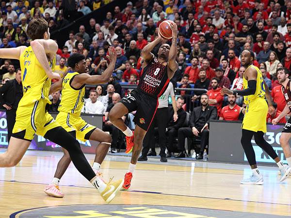 (צילום: אלן שיבר)