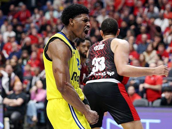 (צילום: אלן שיבר)